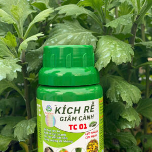 KÍCH RỄ, GIÂM CÀNH TC01 - 100ml