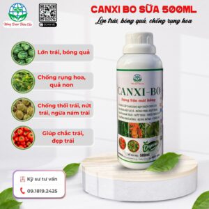 CANXI BO SỮA - Ra hoa đậu quả, bóng quả, chống rụng hoa
